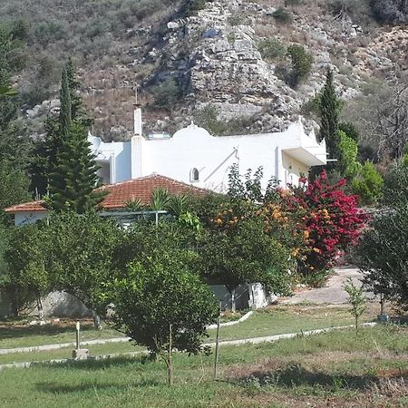 קלוגריה Villa Dunes 350M From The Sandy Beach מראה חיצוני תמונה