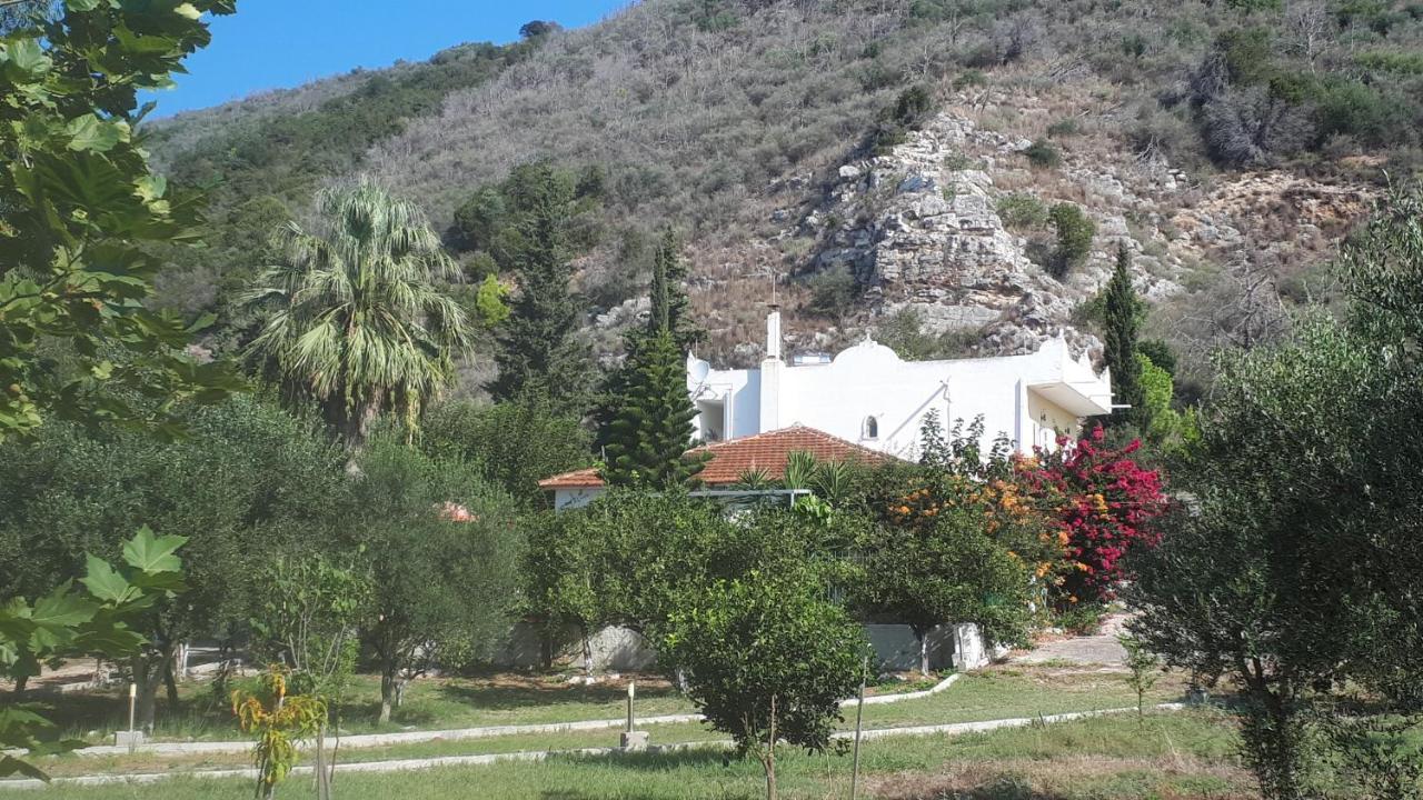 קלוגריה Villa Dunes 350M From The Sandy Beach מראה חיצוני תמונה