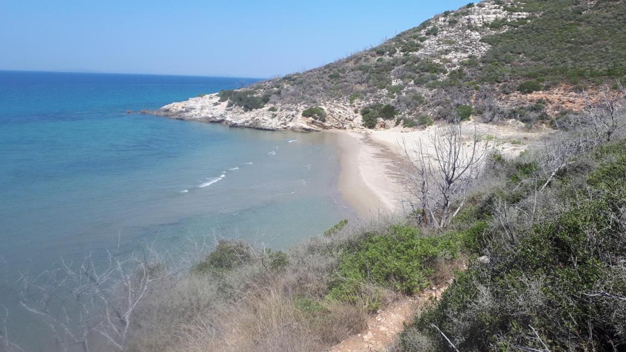 קלוגריה Villa Dunes 350M From The Sandy Beach מראה חיצוני תמונה