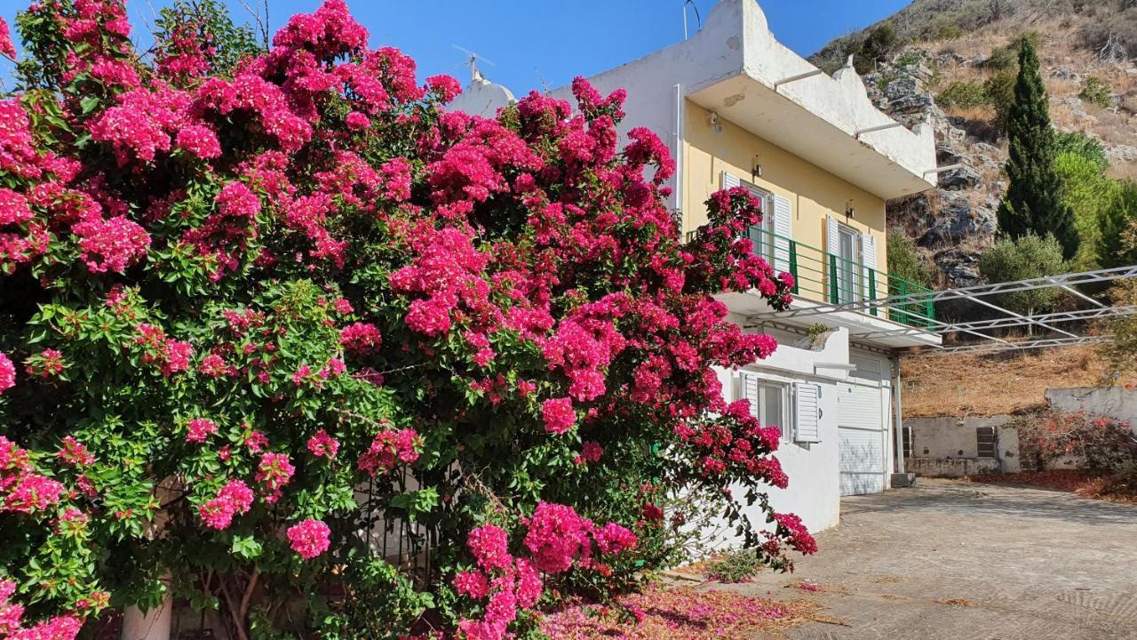 קלוגריה Villa Dunes 350M From The Sandy Beach מראה חיצוני תמונה