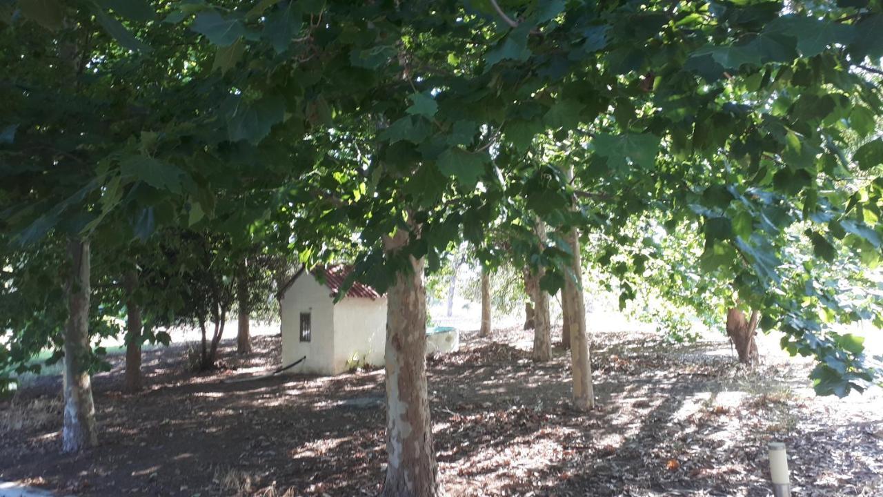 קלוגריה Villa Dunes 350M From The Sandy Beach מראה חיצוני תמונה