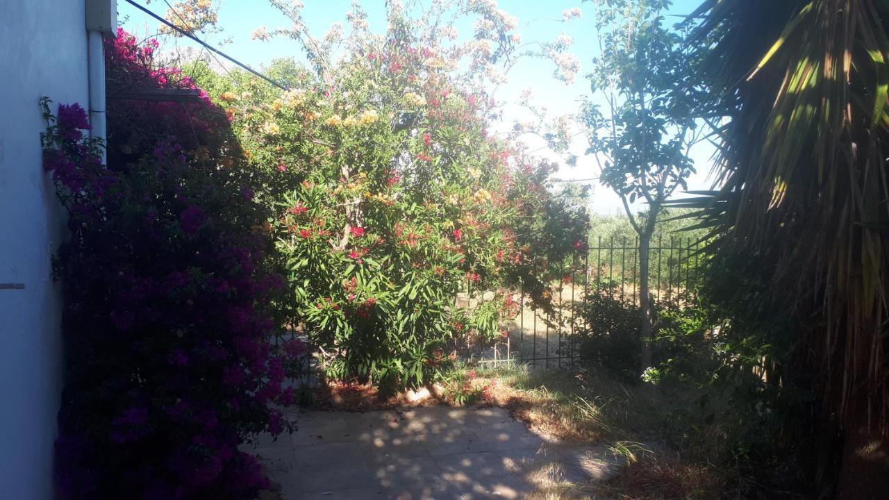 קלוגריה Villa Dunes 350M From The Sandy Beach מראה חיצוני תמונה