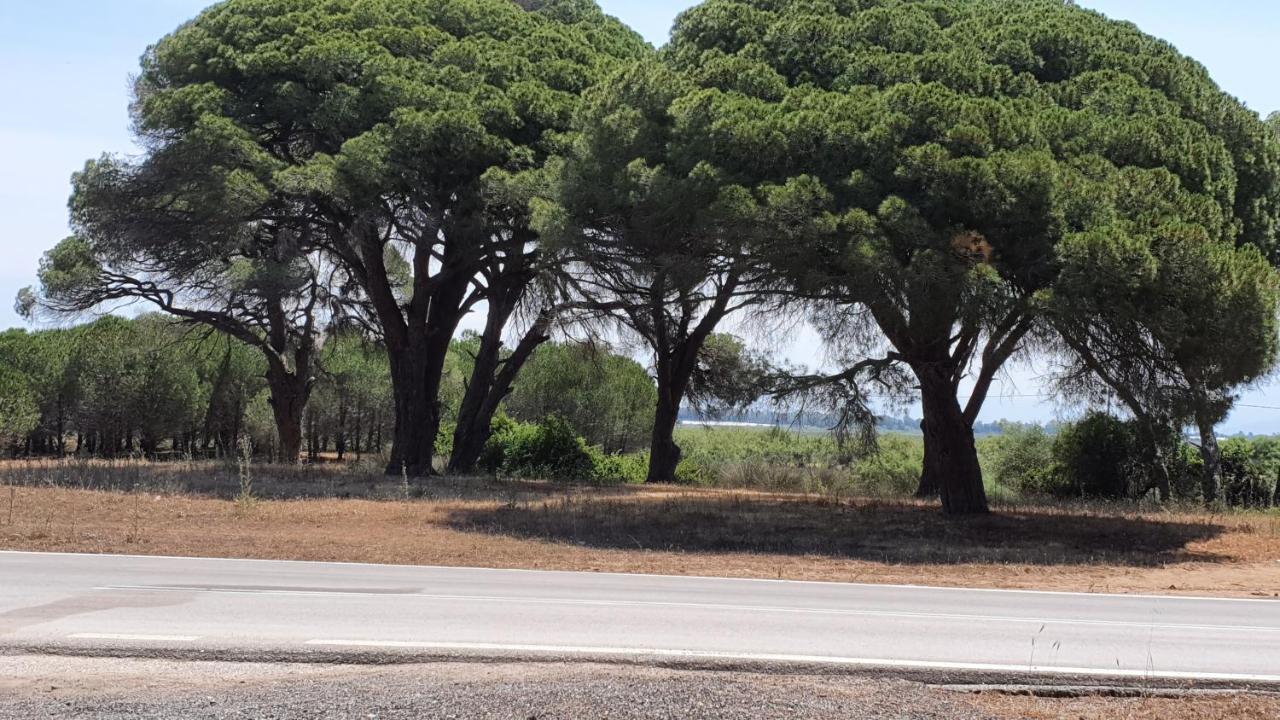 קלוגריה Villa Dunes 350M From The Sandy Beach מראה חיצוני תמונה