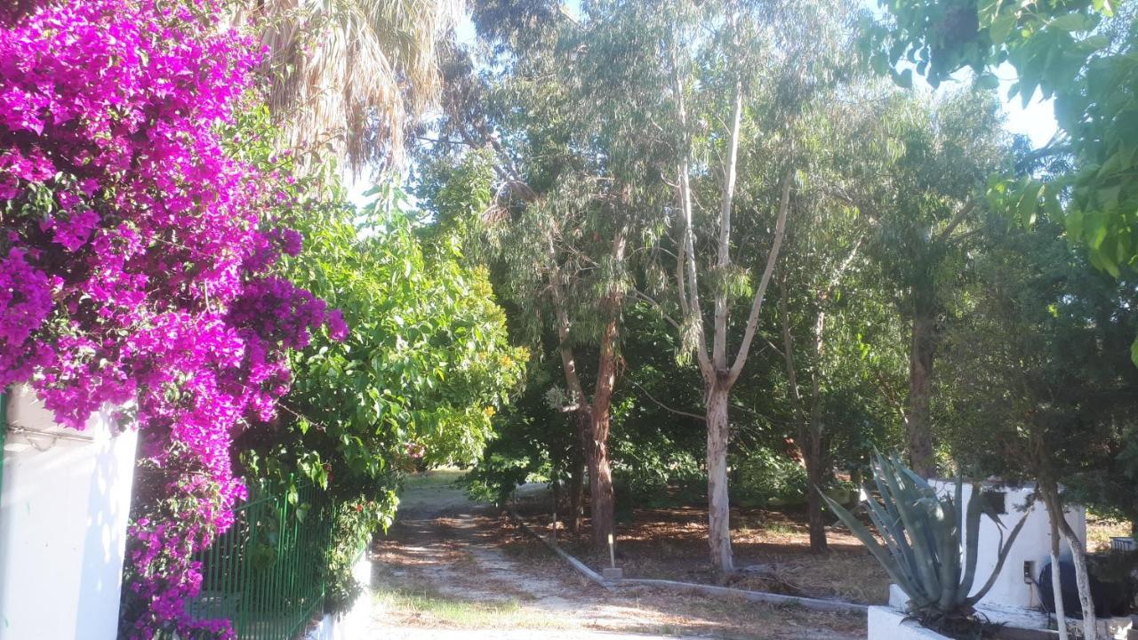 קלוגריה Villa Dunes 350M From The Sandy Beach מראה חיצוני תמונה