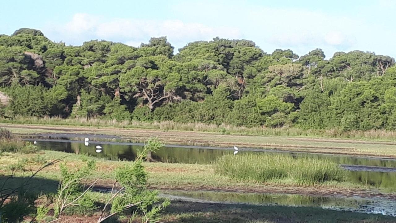 קלוגריה Villa Dunes 350M From The Sandy Beach מראה חיצוני תמונה