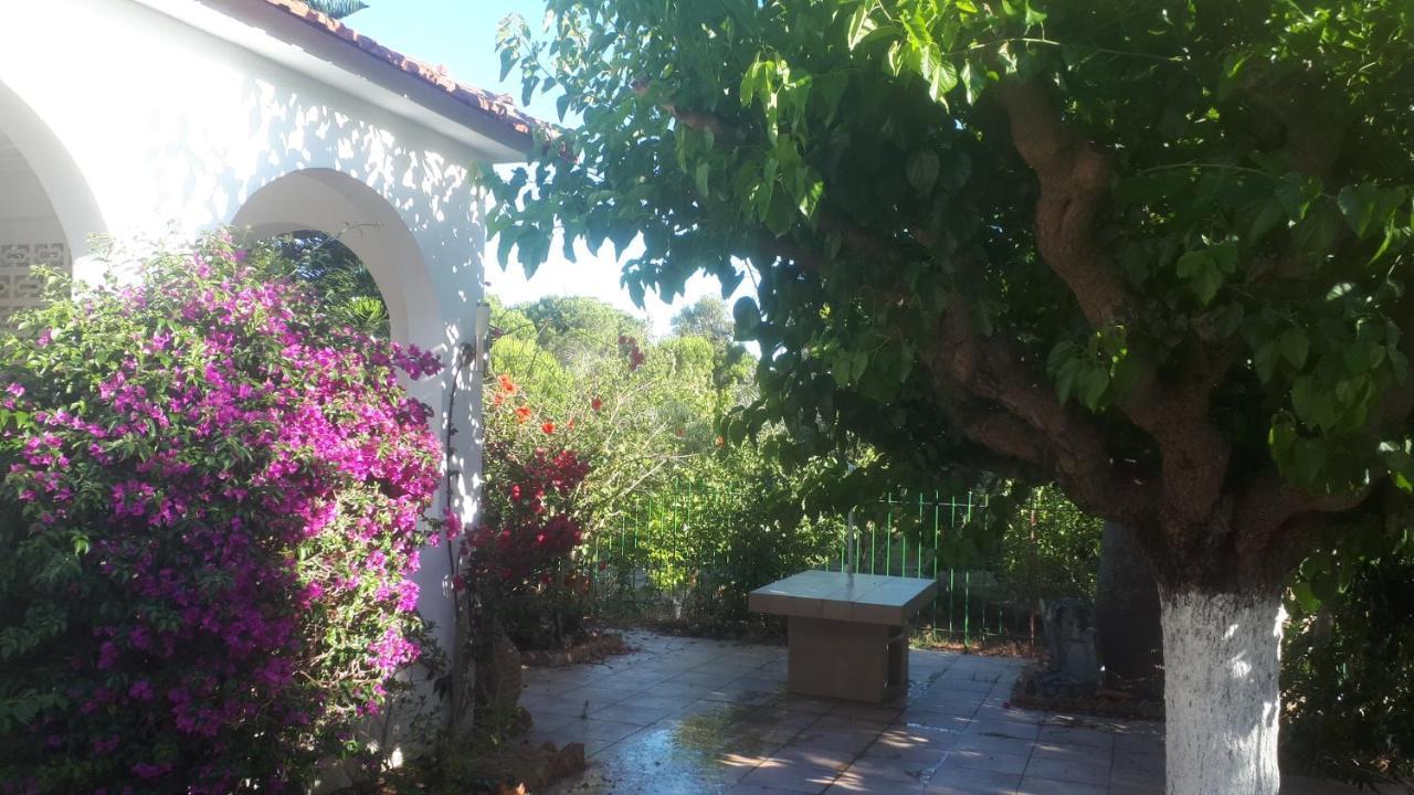 קלוגריה Villa Dunes 350M From The Sandy Beach מראה חיצוני תמונה
