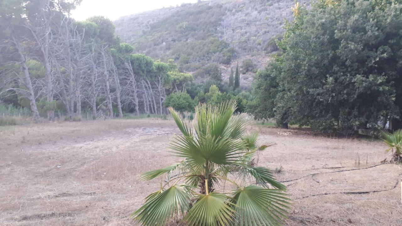 קלוגריה Villa Dunes 350M From The Sandy Beach מראה חיצוני תמונה