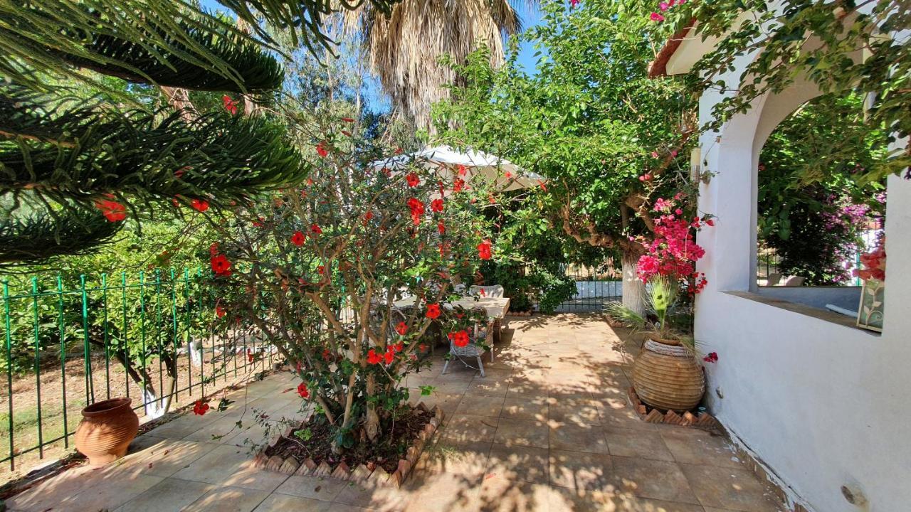 קלוגריה Villa Dunes 350M From The Sandy Beach מראה חיצוני תמונה