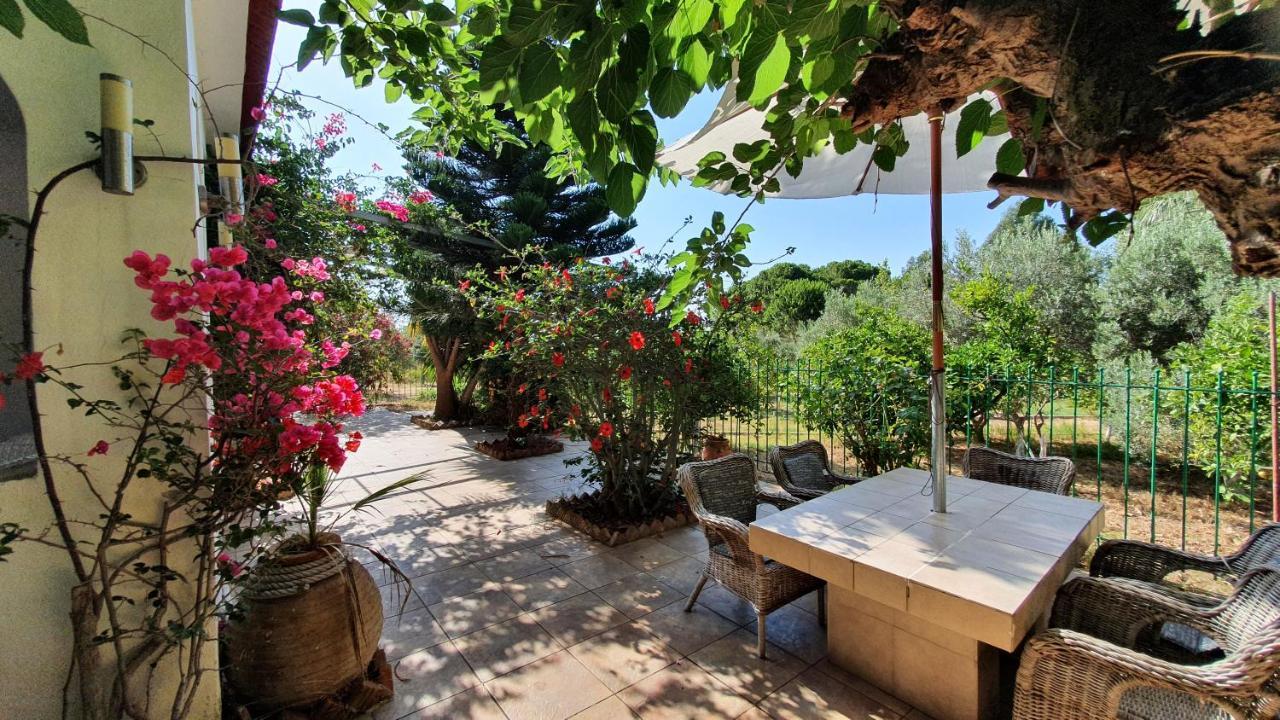 קלוגריה Villa Dunes 350M From The Sandy Beach מראה חיצוני תמונה