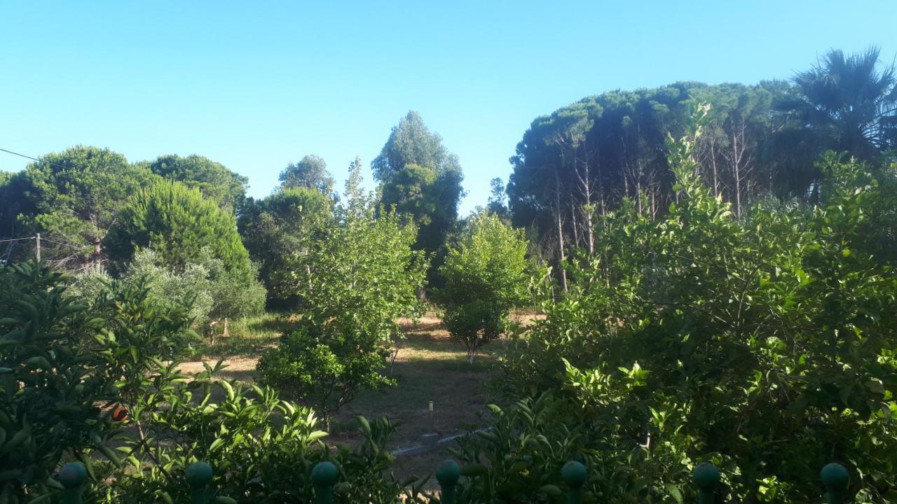 קלוגריה Villa Dunes 350M From The Sandy Beach מראה חיצוני תמונה