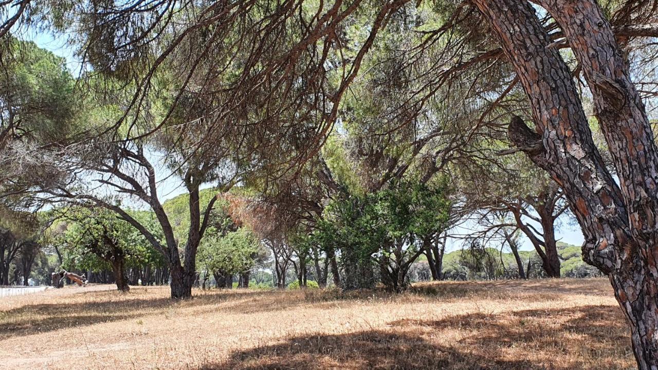 קלוגריה Villa Dunes 350M From The Sandy Beach מראה חיצוני תמונה
