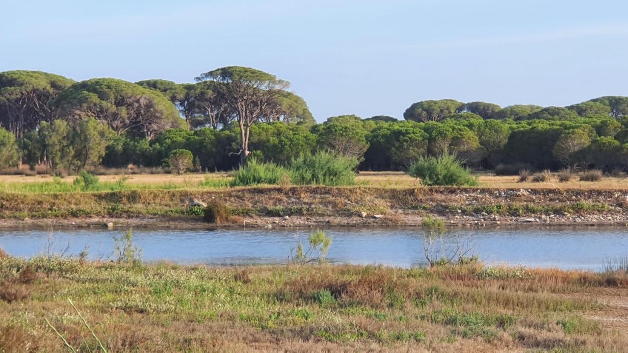 קלוגריה Villa Dunes 350M From The Sandy Beach מראה חיצוני תמונה