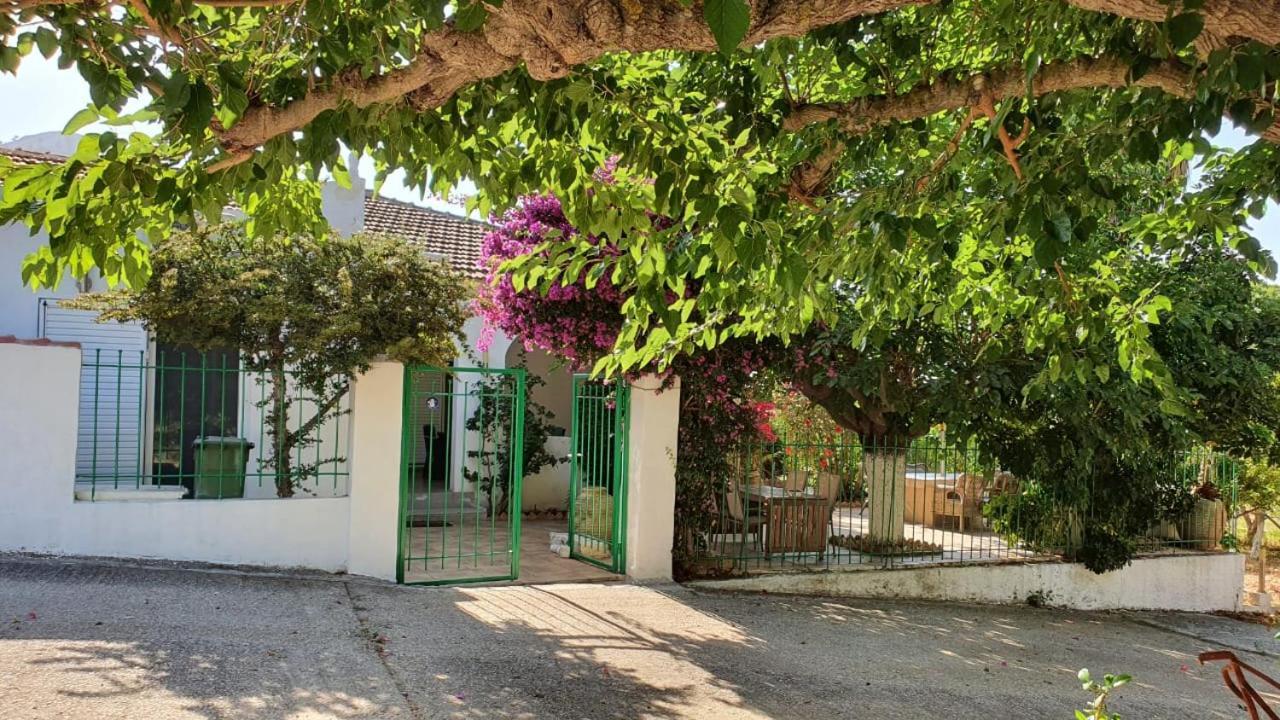 קלוגריה Villa Dunes 350M From The Sandy Beach מראה חיצוני תמונה